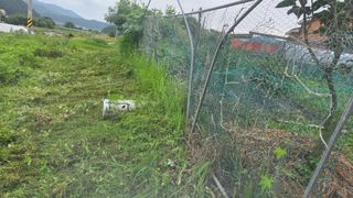 가야산아래촌농님의 기타작물 · 영농일지 작성글 사진