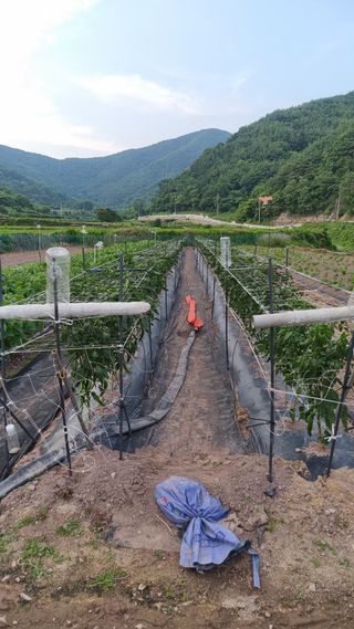 김동명님의 작성글 사진