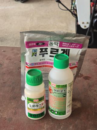 박상우님의 기타작물 · 영농일지 작성글 사진