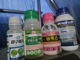 팜모닝 포도·영농일지 게시글 이미지