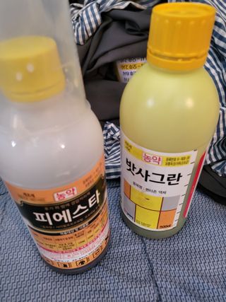 최병우님의 벼 · 영농일지 작성글 사진