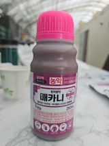 김상엽님의 작성글 사진