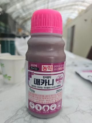 김상엽님의 딸기 · 영농일지 작성글 사진