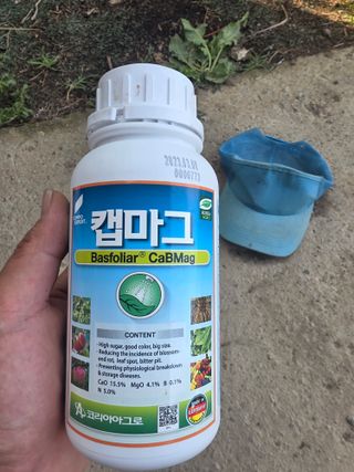 축복님의 포도 · 영농일지 작성글 사진