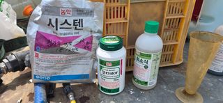 장동휘님의 기타작물 · 영농일지 작성글 사진