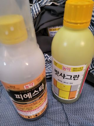 최병우님의 작성글 사진
