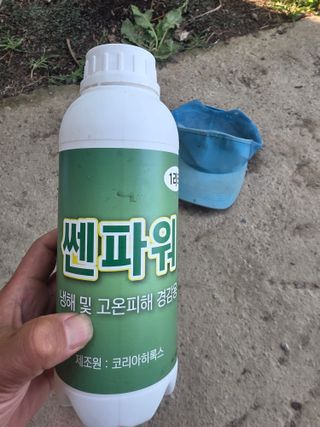 축복님의 포도 · 영농일지 작성글 사진