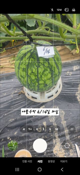 최석주님의 기타작물 · 영농일지 작성글 사진