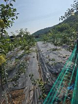 김유숙님의 작성글 사진