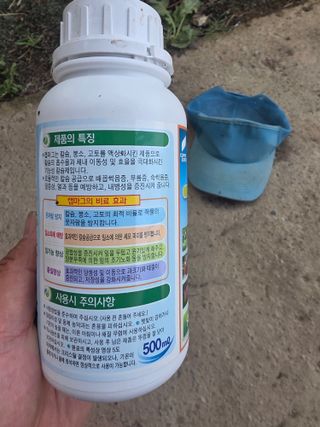 축복님의 포도 · 영농일지 작성글 사진