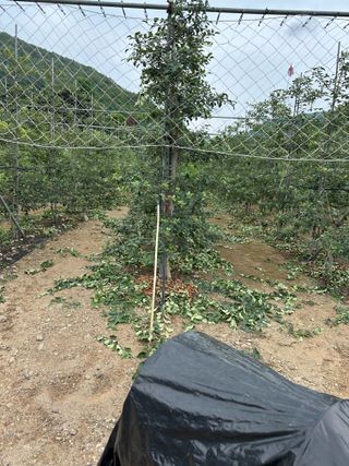 이익수님의 기타작물 · 영농일지 작성글 사진