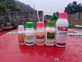 성은모님의 기타작물 · 영농일지 작성글 사진