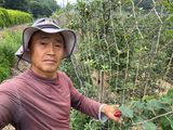 이익수님의 작성글 사진