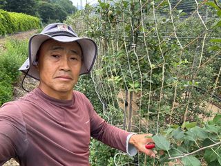 이익수님의 기타작물 · 영농일지 작성글 사진