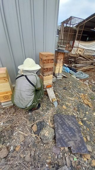 미성농장님의 기타작물 · 영농일지 작성글 사진