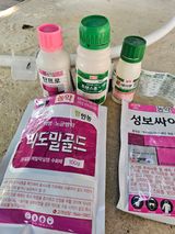 고영미님의 작성글 사진