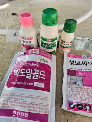 고영미님의 기타작물 · 영농일지 작성글 사진