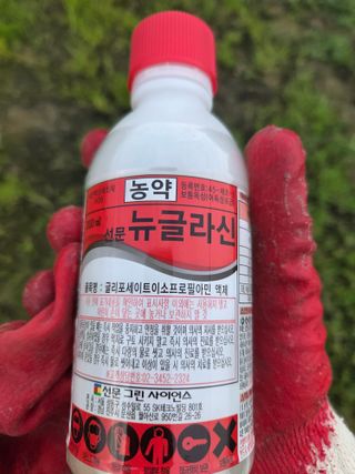 정영석님의 기타작물 · 영농일지 작성글 사진
