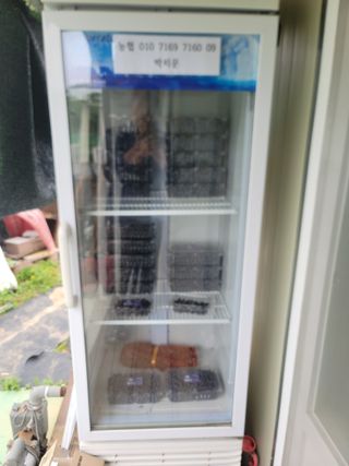 박치문님의 포도 · 영농일지 작성글 사진