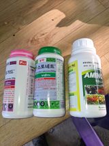 팜모닝 포도·영농일지 게시글 이미지