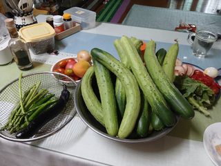 엄기덕님의 토마토 · 영농일지 작성글 사진