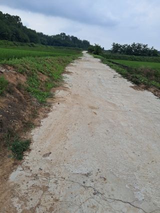이복길님의 벼 · 영농일지 작성글 사진