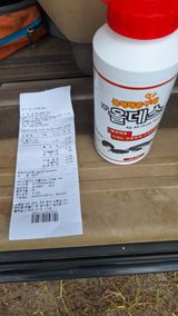 최구현님의 작성글 사진