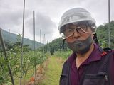 알 수 없음님의 작성글 사진