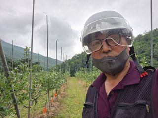 알 수 없음님의 사과 · 영농일지 작성글 사진