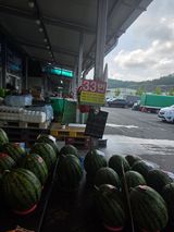 백운농원 님의 작성글 사진
