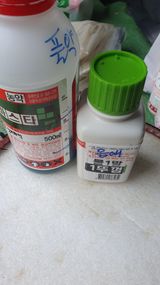 송완춘님의 작성글 사진