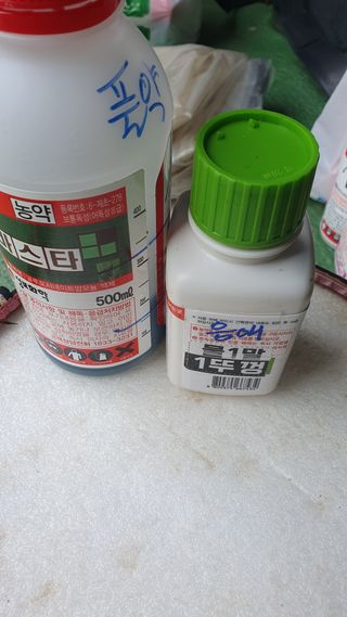 송완춘님의 기타작물 · 영농일지 작성글 사진