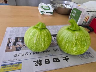 정천복님의 기타작물 · 영농일지 작성글 사진