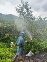 단감대봉시금치당님의 작성글 사진