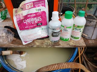 바위돌 심재성님의 기타작물 · 영농일지 작성글 사진