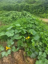 양파12861님의 작성글 사진