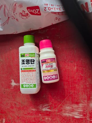 옥수수6509님의 복숭아 · 영농일지 작성글 사진