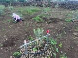 송창헌님의 작성글 사진