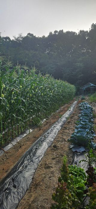 이규동님의 작성글 사진