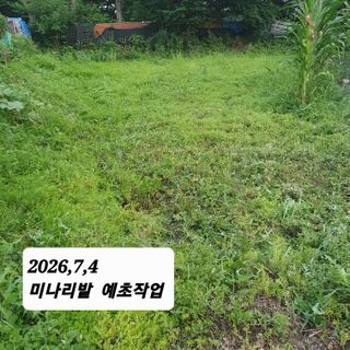 시민농장님의 작성글 사진