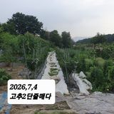 시민농장님의 작성글 사진