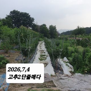 시민농장님의 기타작물 · 영농일지 작성글 사진