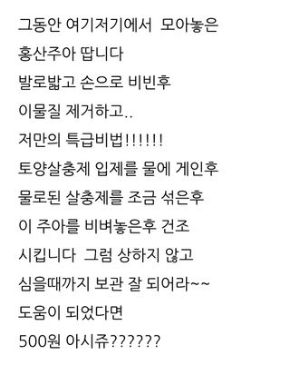 삼성농산님의 마늘 · 영농일지 작성글 사진