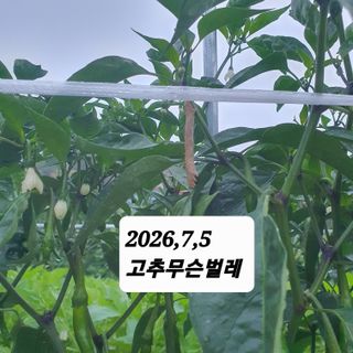 시민농장님의 기타작물 · 영농일지 작성글 사진