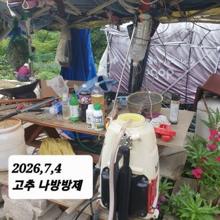 시민농장님의 기타작물 · 영농일지 작성글 사진