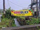 늘햇살팜 님의 작성글 사진