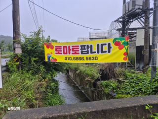 늘햇살팜 님의 기타작물 · 영농일지 작성글 사진
