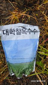 팜모닝 들깨·영농일지 게시글 이미지