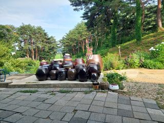 황대헌님의 벼 · 영농일지 작성글 사진