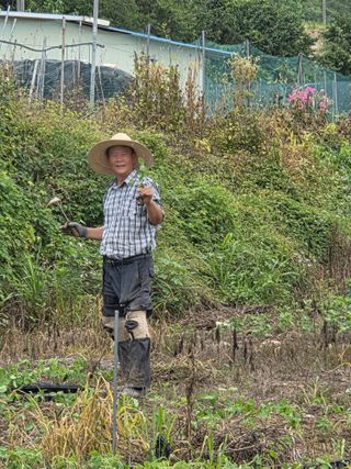 무형교회목사 안영진님의 기타작물 · 영농일지 작성글 사진